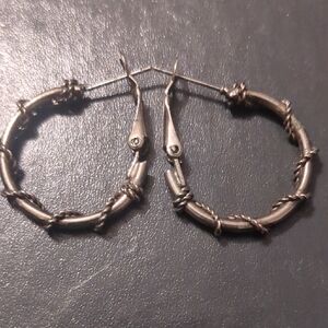 Chic Silver Hoop Earrings